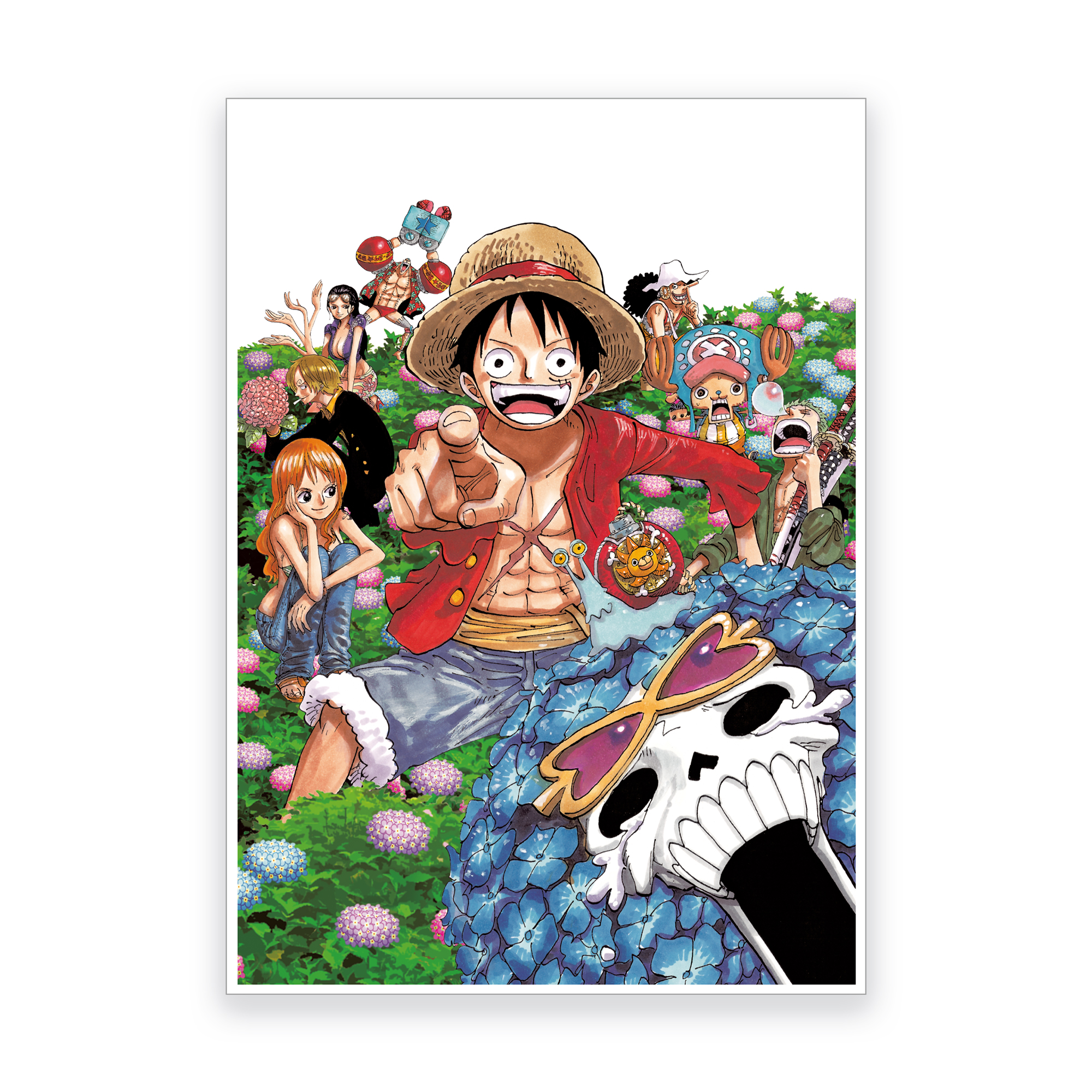 ONE PIECE シーズンズポストカード＜SUMMER＞ | ONE PIECE BASE SHOP