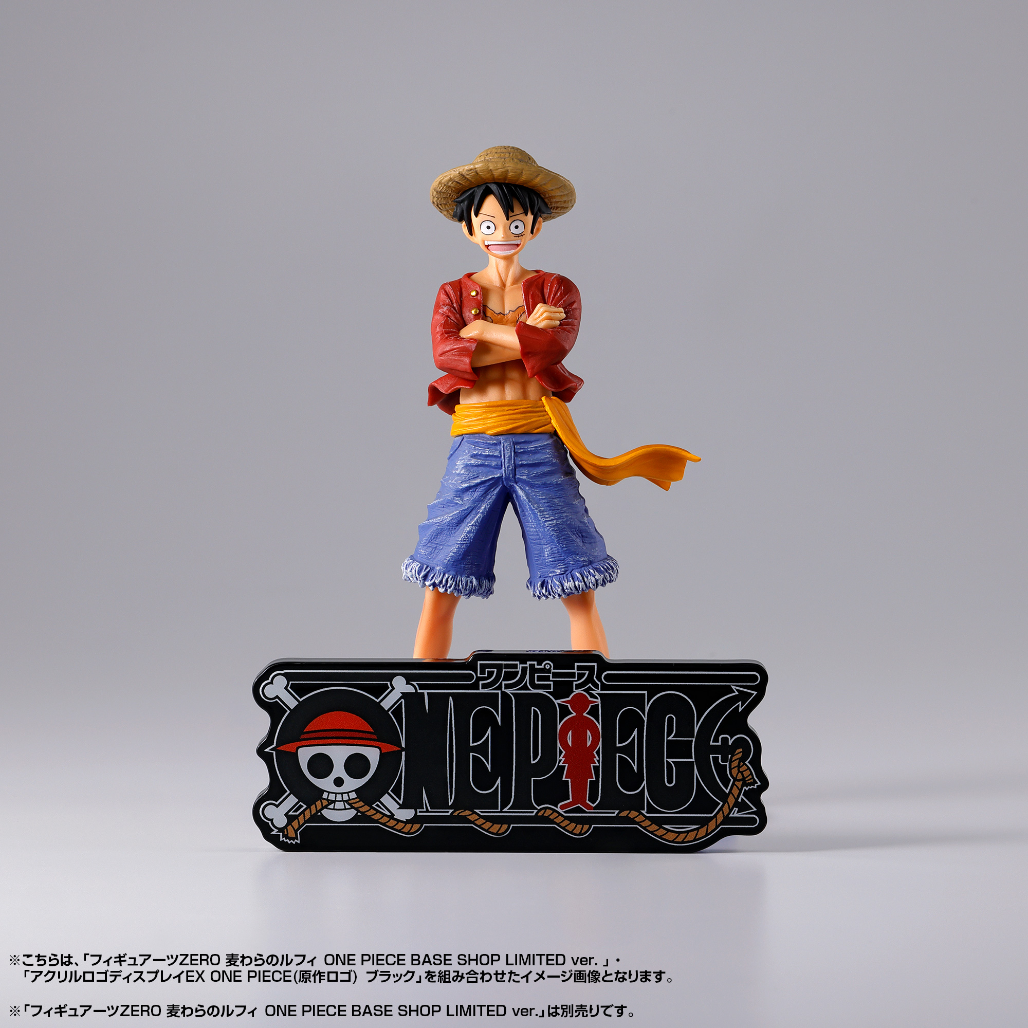 アクリルロゴディスプレイEX ONE PIECE(原作ロゴ)【全2種】 | ONE